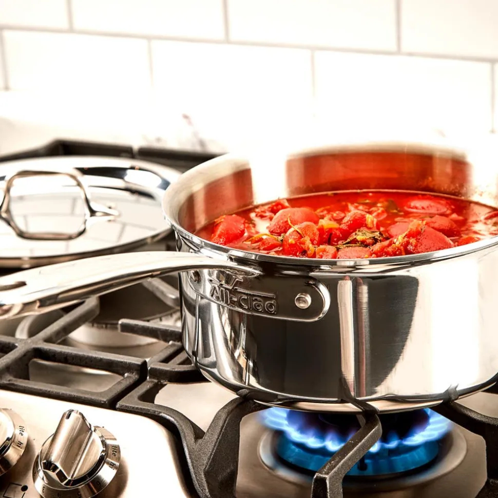 D3 Stainless Everyday 3-ply Bonded Cookware, Sauce Pan with lid, 3 quart