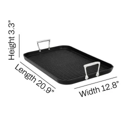 Double Burner Grill / Ultimate Grilling with All-Clad NS Pro