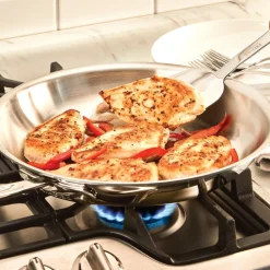 10-Inch Fry Pan / All-Clad D5 Polished Stainless Steel Precision Cooking