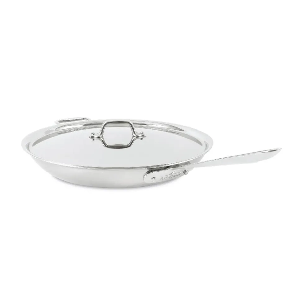 14-Inch Fry Pan with Lid / All-Clad D5 Brushed Stainless Masterpiece