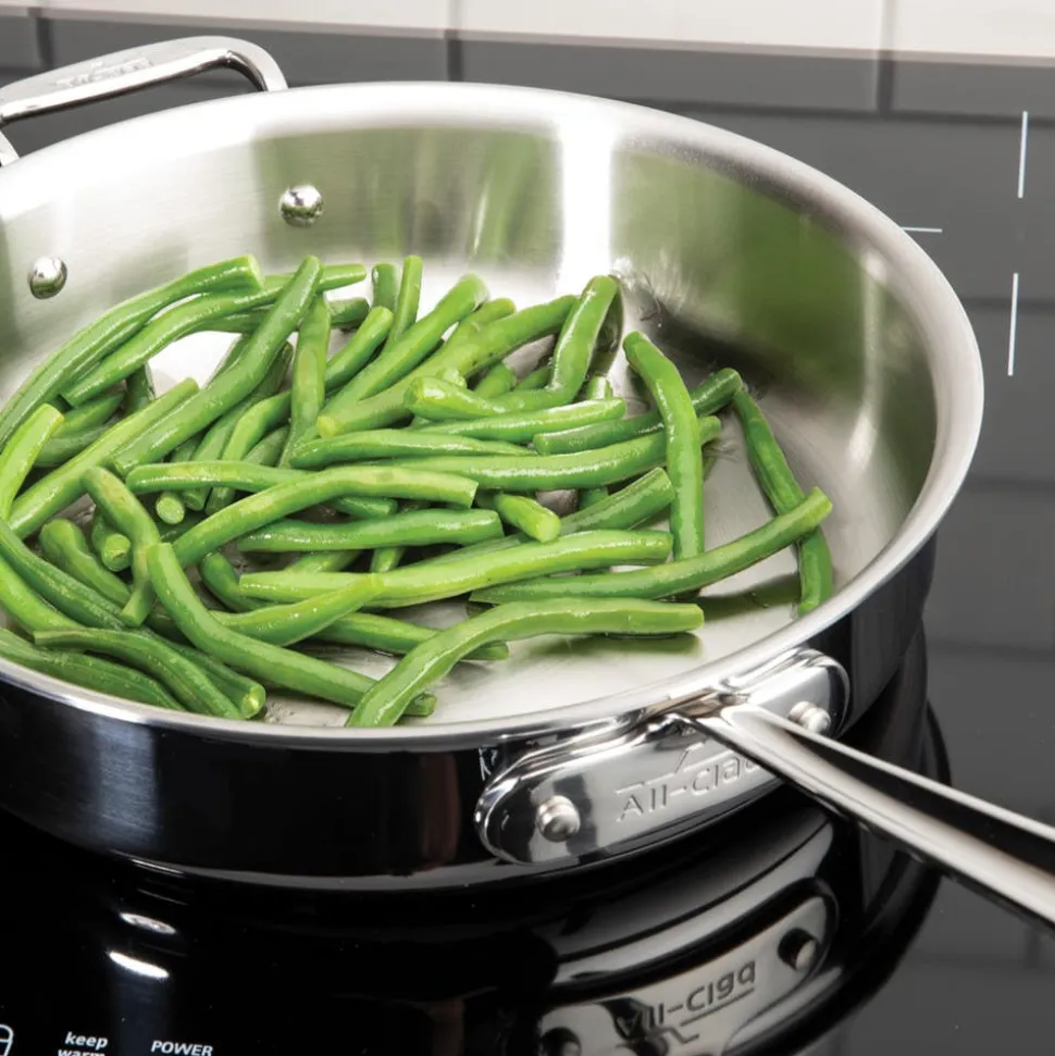 14-Inch Fry Pan with Lid / All-Clad D5 Brushed Stainless Masterpiece