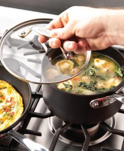 2-Piece Sauce Pan Set / 2.5 and 4 Quart Essentials with Lids