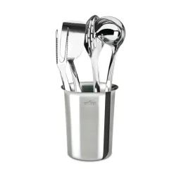 Precision Stainless Steel Tools Set; 5 piece