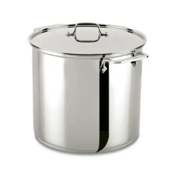 16 Quart | Large Stainless Steel Pot with Lid | All-Clad