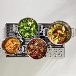 12-Quart Multipot with Insert / Big Batch Cooking with All-Clad