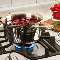 2-Quart Sauce Pan with Lid / All-Clad D5 Polished Stainless Versatility