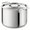 12-Quart Stockpot with Lid / All-Clad D5 Polished Stainless Steel Perfection