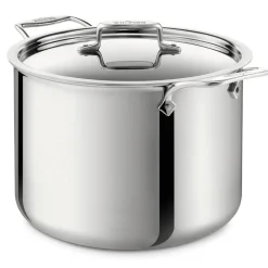 12-Quart Stockpot with Lid / All-Clad D5 Polished Stainless Steel Perfection