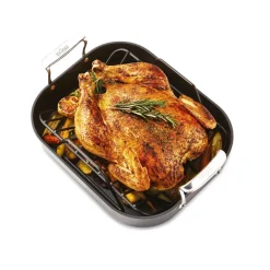 Small Roaster with Rack / All-Clad Essentials Nonstick for Perfect Roasts