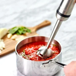 Stainless Steel Immersion Hand Blender, 600 Watts