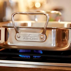 Stainless Steel Roaster Rack, Gourmet Accessories | All-Clad